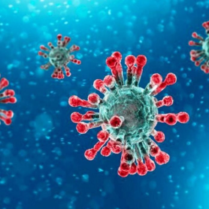 Corona-Virus