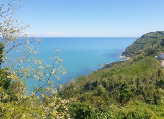 Acque marchigiane di balneazione: ok dai controlli Arpam