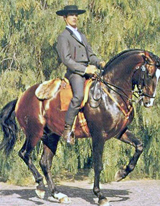 Isrtruttore equitazione portoghese