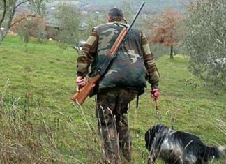 Caccia, il Movimento 5 Stelle Marche: “Un piano poco faunistico e molto, troppo, venatorio”