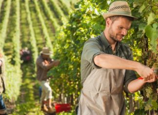 Offerte di lavoro del Centro per l’Impiego di Urbino