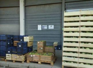 Emergenza: DomoMia vicino a chi ha bisogno