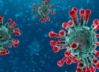 Primi casi di positivi al coronavirus a Cagli e Apecchio
