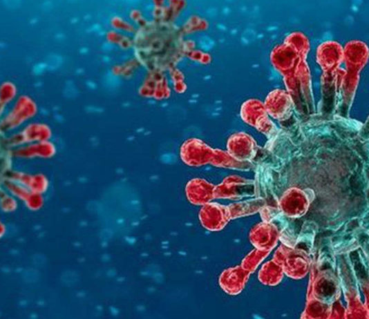 Primi casi di positivi al coronavirus a Cagli e Apecchio