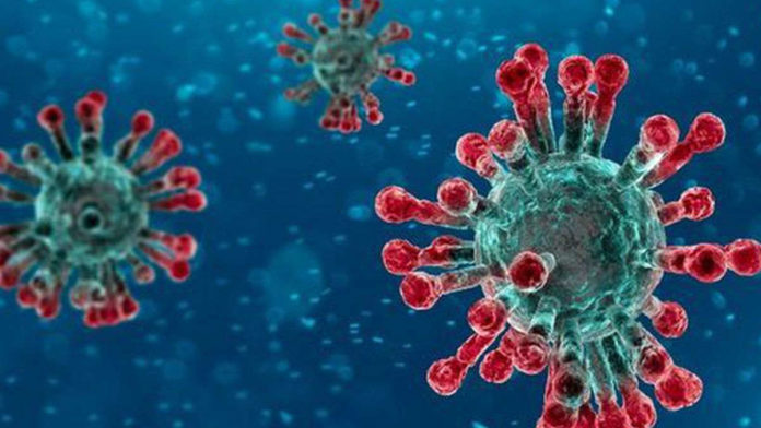 coronavirus
