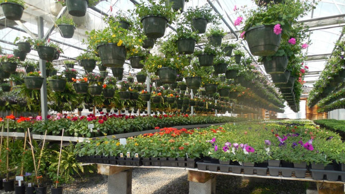 vivaismo_gardentv