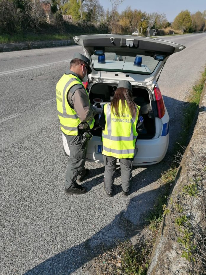 Una pattuglia polizia provinciale
