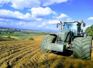 Coldiretti Marche, incentivi alle aziende, misure compensative e selvatici: apertura della Regione alle richieste degli agricoltori