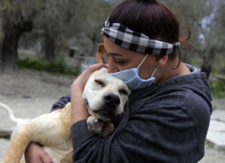Misure precauzionali per la gestione degli animali da compagnia a stretto contatto con persone sospette o confermate di Covid-19