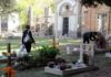 Colli al Metauro, cimiteri chiusi. Ma così è possibile curare e riordinare le tombe