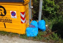 Urbino, salva due gattini da morte sicura e li adotta