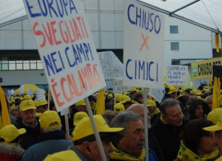 Coldiretti Pesaro Urbino, la vespa samurai in difesa di orti e frutteti