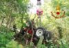 A Urbino tragico incidente agricolo: muore 76enne