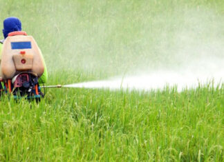 Marche, no ai pesticidi. Ecco dove
