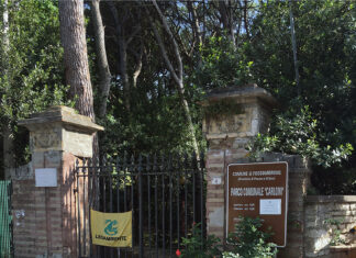 Fossombrone, nel parco Carloni sono 39 gli alberi da abbattere