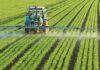 Coldiretti Marche, -38% pesticidi nei campi: la nostra tra le regioni più green d’Europa