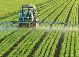 Coldiretti Marche, -38% pesticidi nei campi: la nostra tra le regioni più green d’Europa