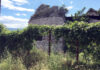 Fossombrone, la rocca malatestiana tra rovi ed incuria