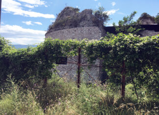 Fossombrone, la rocca malatestiana tra rovi ed incuria