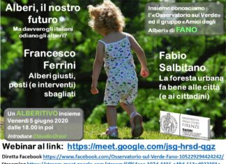 Nasce a Fano il gruppo Amici degli Alberi e l’Osservatorio sul Verde