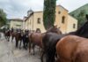 Un contributo di 210 euro a capo di bestiame per incentivare i giovani all’imprenditoria del settore agro-zootecnico