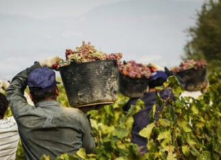 Lavoro nero e immigrati, è possibile regolarizzare