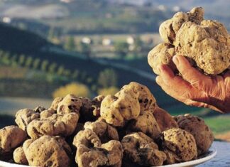 Tartufo: tra coronavirus e crollo di vendite e richieste