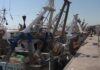 Coldiretti Impresapesca Marche, dopo il Covid un nuovo stop: dal 31 luglio a Fano scatta il fermo pesca in Adriatico