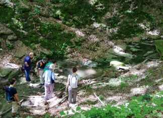 Emozioni naturali, Cantiano dal 29 luglio punto di incontro per tutti gli amanti di ambiente, escursionismo, “green generation”
