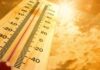 Clima torrido nei prossimi giorni nelle Marche. Domani allerta arancione