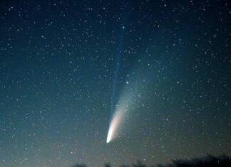 Cometa Neowise, a Fano da Casa Archilei questa sera (29 luglio) emozioni dallo spazio