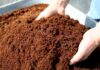 Coldiretti Marche, meno chimica nei campi e più spazio alla salute: concimi bio +18%, Made in Italy da tutelare