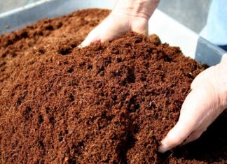 Coldiretti Marche, meno chimica nei campi e più spazio alla salute: concimi bio +18%, Made in Italy da tutelare
