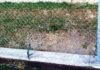Campo da calcio di via Luca Della Robbia: l’appello dell’Uisp Pesaro Urbino ai genitori