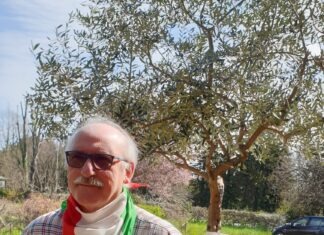 Fano, ‘W la Costituzione’ a 75 anni dalla nascita con i corti degli studenti