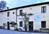 “Rettili, anfibi e altre avventure”, sabato 19 settembre al Cea “Casa Archilei” di Fano