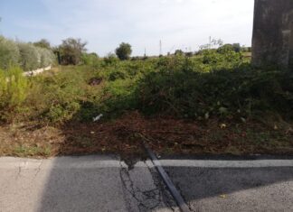 Pollegioni: “La tratta ferroviaria Fano-Urbino è terra di nessuno”