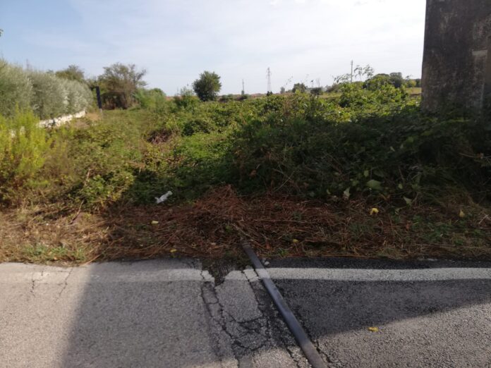 FOTO FERROVIA FANO URBINO