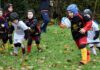 A Pesaro il minirugby torna in campo