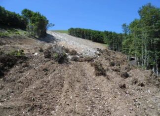 Le associazioni ambientaliste marchigiane replicano al sindaco di Frontone