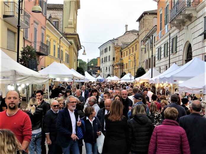 fiera tartufo pergola
