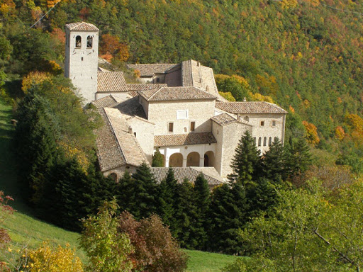 fonte avellana