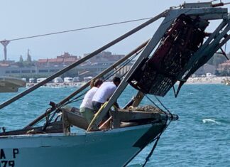 Coldiretti Pesaro Urbino e Impresapesca, il sottosegretario L’Abbate al BrodettoFest: “Filiera corta mare-terra per sostenere il settore e promuovere il territorio”