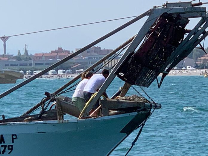 pesca (1)