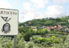 Olio e motori Lamborghini, che partnership a Cartoceto!