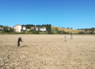 Forum Sempronii altre ricerche di reperti. Magnetometro in azione