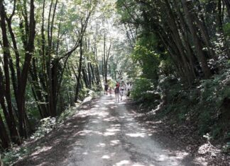 Quasi 7500 le presenze registrate tra giugno e settembre al “Centro Visite” della Gola del Furlo e al “Museo del territorio”