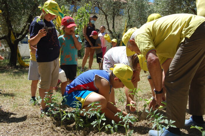 anziani agricoltura (1)