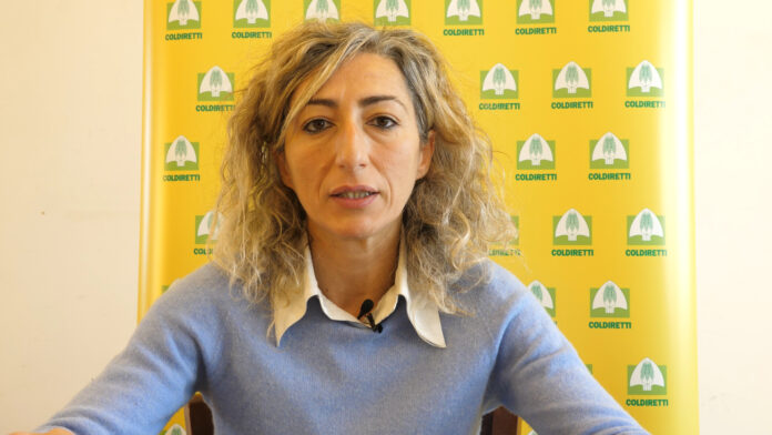 francesca gironi (2)