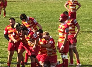 Rugby, Pesaro conquista la vittoria contro il Romagna e sorride in vista del campionato